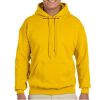 Adult Heavy Blend™ Hooded Sweatshirt Thumbnail