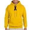 Adult Heavy Blend™ Hooded Sweatshirt Thumbnail