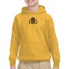 Youth Heavy Blend™ Hooded Sweatshirt Thumbnail